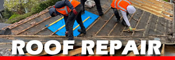 ROOF REPAIR Hampshire and West Sussex